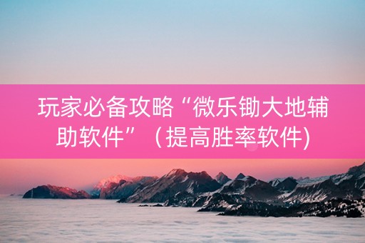 玩家必备攻略“微乐锄大地辅助软件”（提高胜率软件)