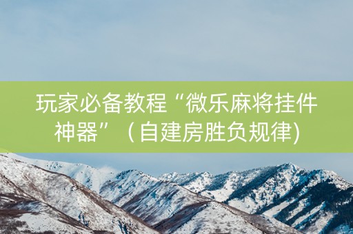 玩家必备教程“微乐麻将挂件神器”（自建房胜负规律)