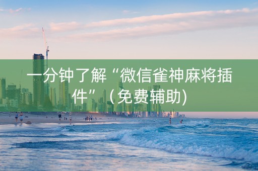 一分钟了解“微信雀神麻将插件”（免费辅助)