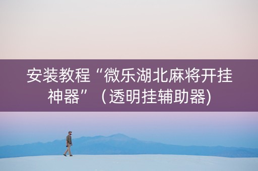 安装教程“微乐湖北麻将开挂神器”（透明挂辅助器)
