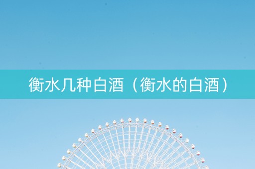 衡水几种白酒（衡水的白酒）