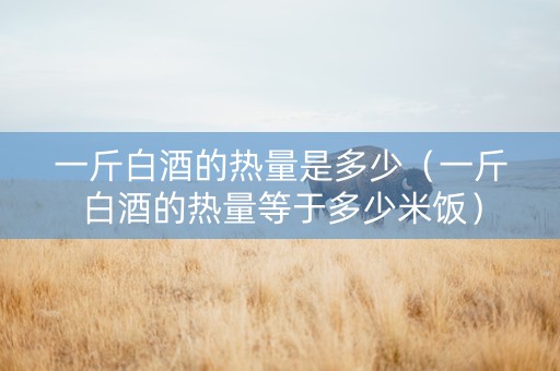 一斤白酒的热量是多少（一斤白酒的热量等于多少米饭）