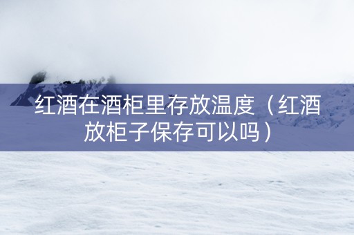 红酒在酒柜里存放温度（红酒放柜子保存可以吗）