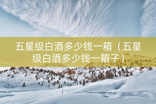 五星级白酒多少钱一箱（五星级白酒多少钱一箱子）