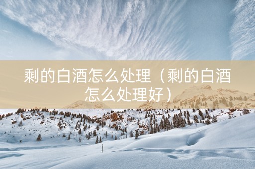 剩的白酒怎么处理（剩的白酒怎么处理好）