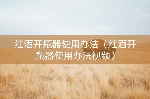 红酒开瓶器使用办法（红酒开瓶器使用办法视频）