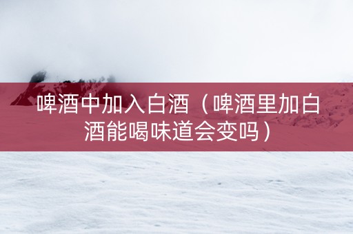 啤酒中加入白酒（啤酒里加白酒能喝味道会变吗）