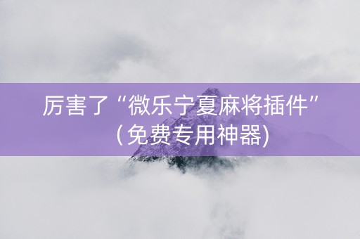 厉害了“微乐宁夏麻将插件”（免费专用神器)