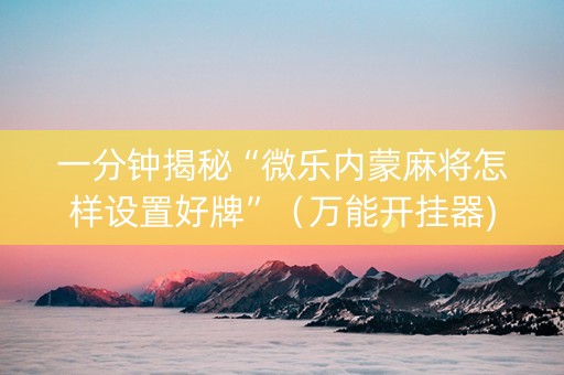一分钟揭秘“微乐内蒙麻将怎样设置好牌”（万能开挂器)