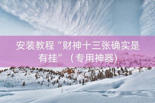安装教程“财神十三张确实是有挂”（专用神器)