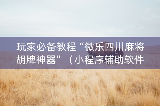 玩家必备教程“微乐四川麻将胡牌神器”（小程序辅助软件)