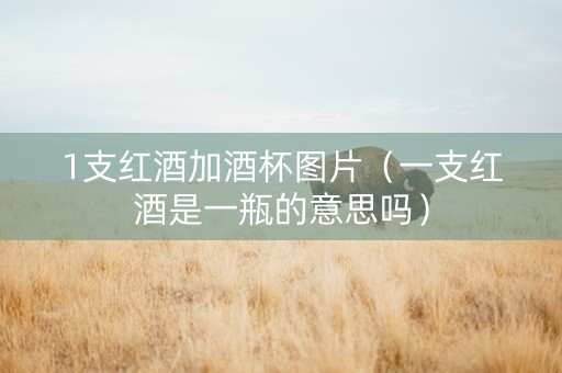 1支红酒加酒杯图片（一支红酒是一瓶的意思吗）