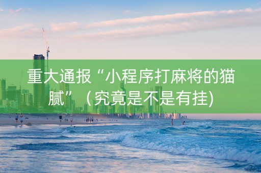 重大通报“小程序打麻将的猫腻”（究竟是不是有挂)