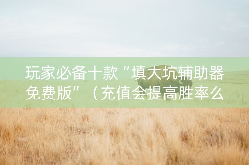 玩家必备十款“填大坑辅助器免费版”（充值会提高胜率么)
