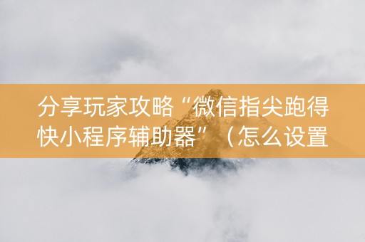 分享玩家攻略“微信指尖跑得快小程序辅助器”（怎么设置能有好牌)