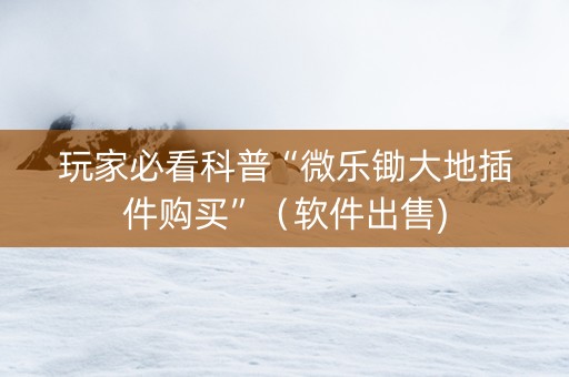 玩家必看科普“微乐锄大地插件购买”（软件出售)