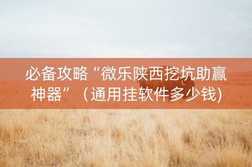 必备攻略“微乐陕西挖坑助赢神器”（通用挂软件多少钱)