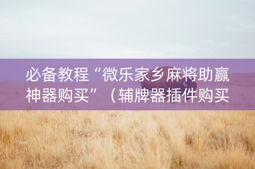 必备教程“微乐家乡麻将助赢神器购买”（辅牌器插件购买)