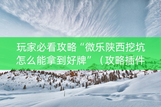 玩家必看攻略“微乐陕西挖坑怎么能拿到好牌”（攻略插件)
