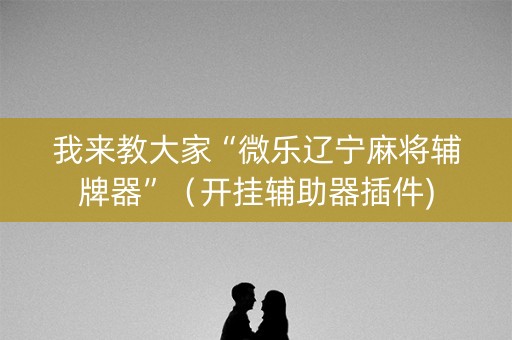 我来教大家“微乐辽宁麻将辅牌器”（开挂辅助器插件)
