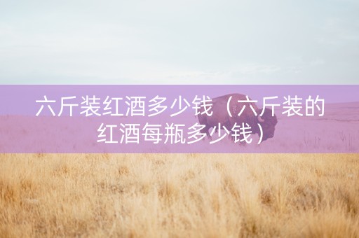 六斤装红酒多少钱（六斤装的红酒每瓶多少钱）