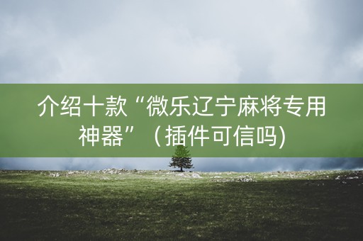 介绍十款“微乐辽宁麻将专用神器”（插件可信吗)