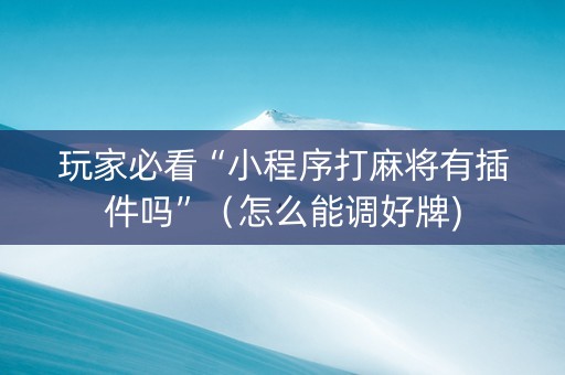 玩家必看“小程序打麻将有插件吗”（怎么能调好牌)
