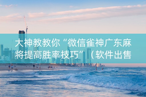 大神教教你“微信雀神广东麻将提高胜率技巧”（软件出售)