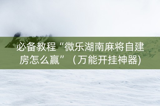 必备教程“微乐湖南麻将自建房怎么赢”（万能开挂神器)