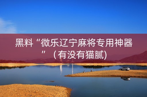 黑料“微乐辽宁麻将专用神器”（有没有猫腻)