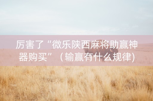 厉害了“微乐陕西麻将助赢神器购买”（输赢有什么规律)