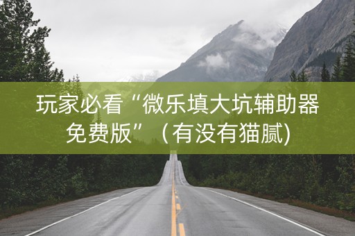 玩家必看“微乐填大坑辅助器免费版”（有没有猫腻)