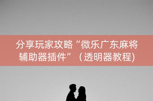 分享玩家攻略“微乐广东麻将辅助器插件”（透明器教程)