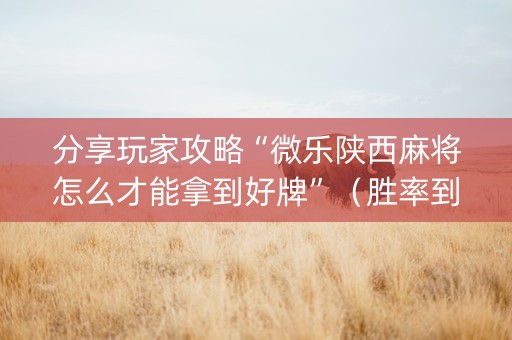 分享玩家攻略“微乐陕西麻将怎么才能拿到好牌”（胜率到哪调)