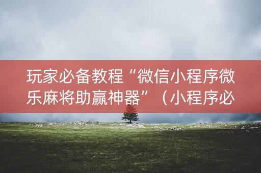 玩家必备教程“微信小程序微乐麻将助赢神器”（小程序必赢神器)