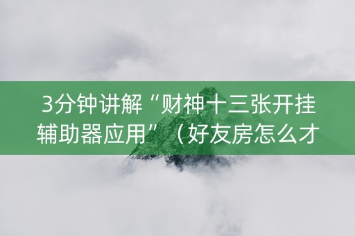 3分钟讲解“财神十三张开挂辅助器应用”（好友房怎么才能赢)