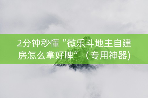 2分钟秒懂“微乐斗地主自建房怎么拿好牌”（专用神器)