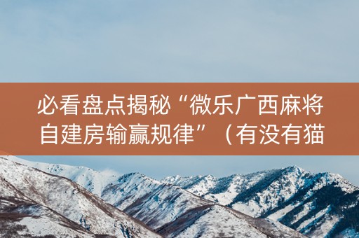 必看盘点揭秘“微乐广西麻将自建房输赢规律”（有没有猫腻)