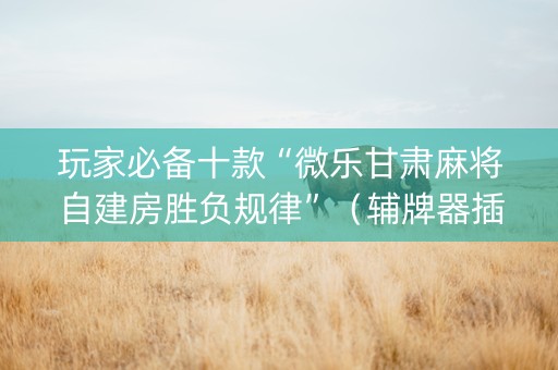 玩家必备十款“微乐甘肃麻将自建房胜负规律”（辅牌器插件购买)