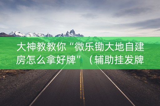 大神教教你“微乐锄大地自建房怎么拿好牌”（辅助挂发牌规律)