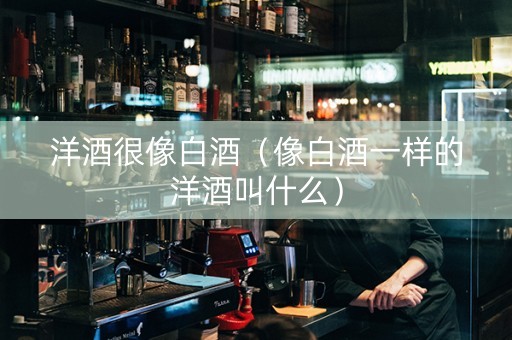 洋酒很像白酒（像白酒一样的洋酒叫什么）