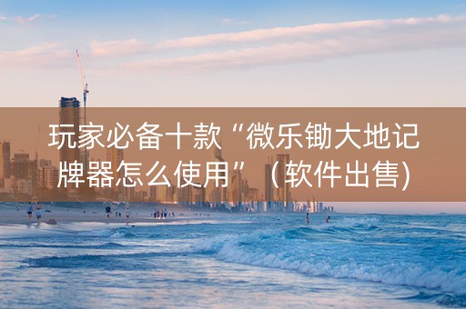 玩家必备十款“微乐锄大地记牌器怎么使用”（软件出售)