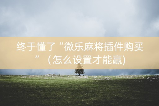 终于懂了“微乐麻将插件购买”（怎么设置才能赢)