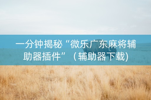 一分钟揭秘“微乐广东麻将辅助器插件”（辅助器下载)