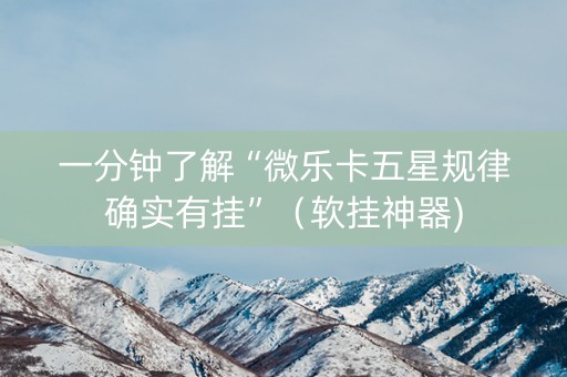 一分钟了解“微乐卡五星规律确实有挂”（软挂神器)