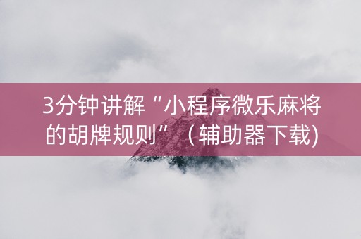 3分钟讲解“小程序微乐麻将的胡牌规则”（辅助器下载)