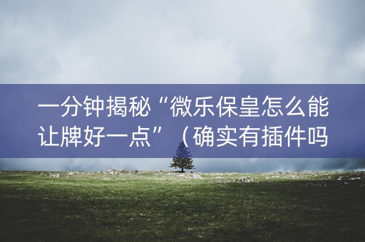 一分钟揭秘“微乐保皇怎么能让牌好一点”（确实有插件吗)