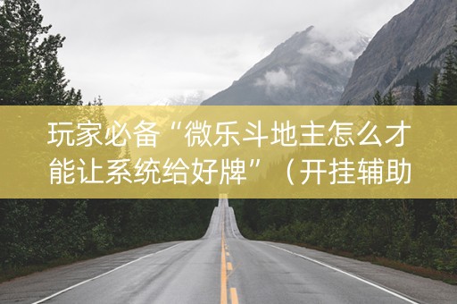 玩家必备“微乐斗地主怎么才能让系统给好牌”（开挂辅助器插件)