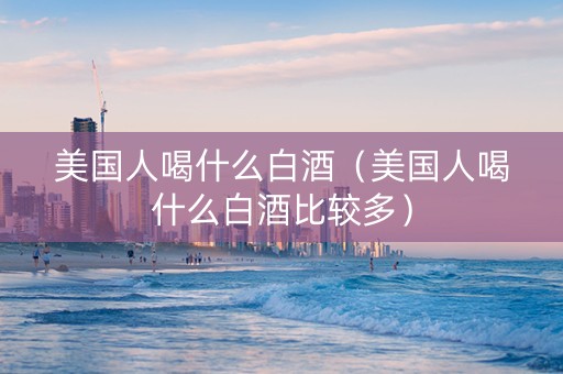 美国人喝什么白酒（美国人喝什么白酒比较多）