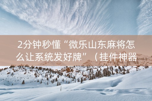 2分钟秒懂“微乐山东麻将怎么让系统发好牌”（挂件神器)